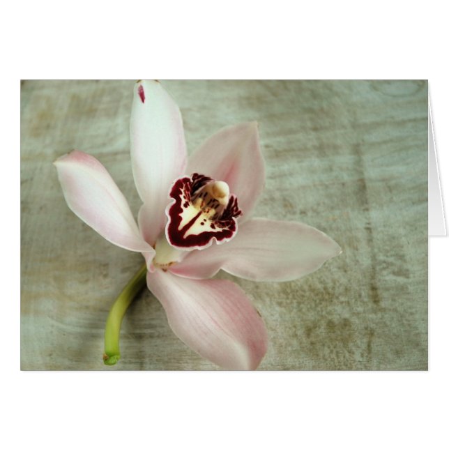 Cartão Orquídea (Frente Horizontal)