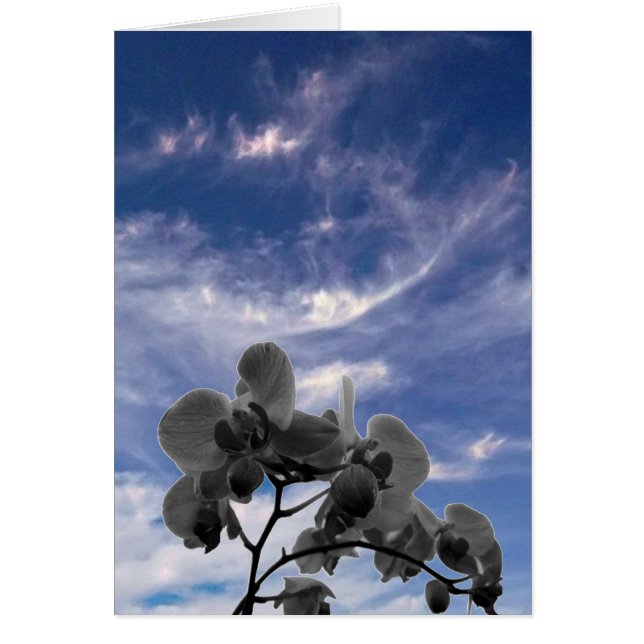 Cartão Orquídea (Frente)