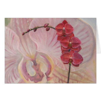 Cartão Orquídea