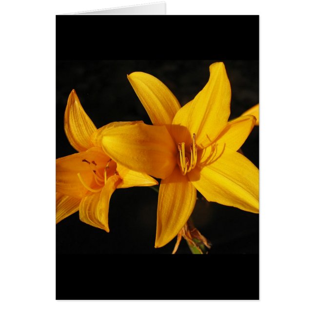 Cartão Orquídea amarela (Frente)