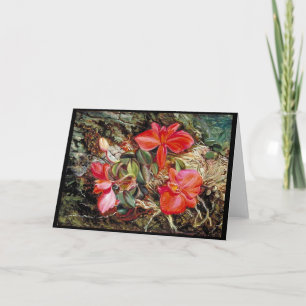 Cartão Orquídea brasileira, pintura de Marianne North