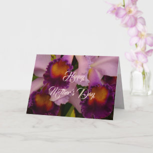 Cartão Orquídea Cattleya Roxa Real Dia das Mães