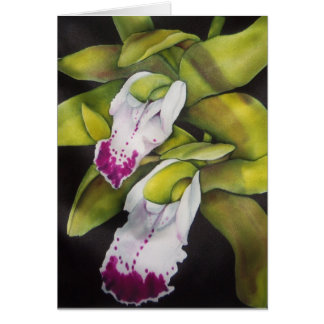 Cartão Orquídea de Cymbidium Verde