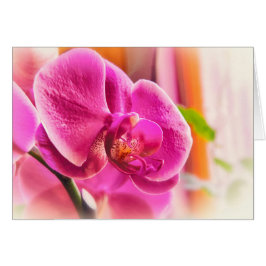 Cartão Orquídea difusa
