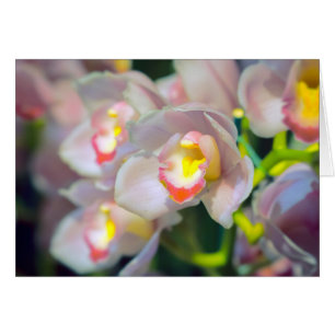 Cartão Orquídea Restyle