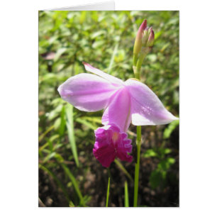 Cartão Orquídea selvagem - personalizada