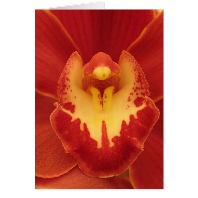 Cartão Orquídea vermelha (Frente)
