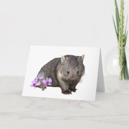 Cartão Orquídea Wombat e Cooktown