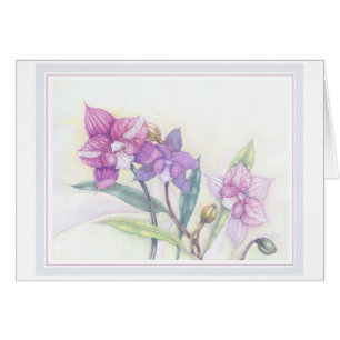 Cartão Orquídeas