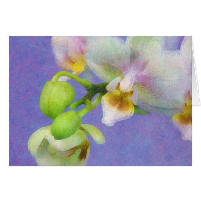 Cartão Orquídeas (Frente Horizontal)