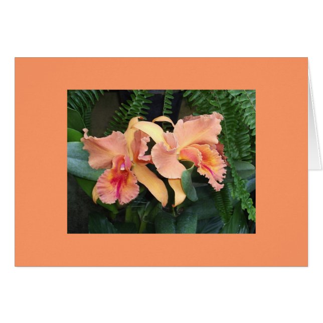 Cartão Orquídeas (Frente Horizontal)