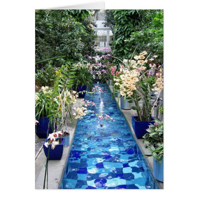 Cartão Orquídeas (Frente)