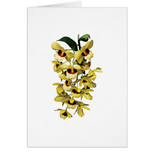 Cartão Orquídeas amarelas da cascata