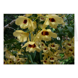 Cartão Orquídeas amarelas e grená Floral elegante