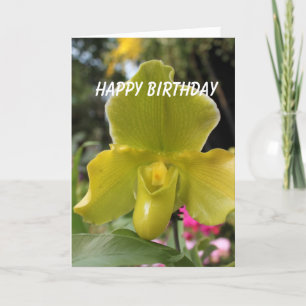 Cartão orquídeas amarelas verdes flores feliz aniversário