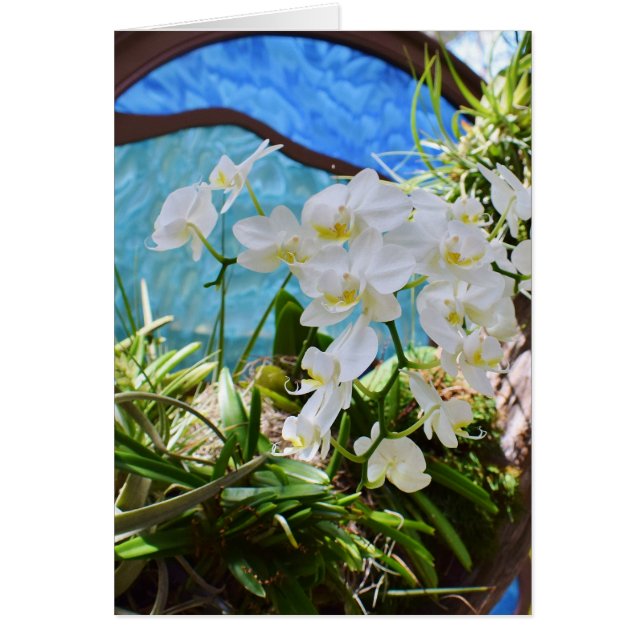 Cartão Orquídeas Brancas (Frente)
