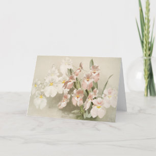 Cartão Orquídeas Brancas Vintage Vintage Ilustração Antig