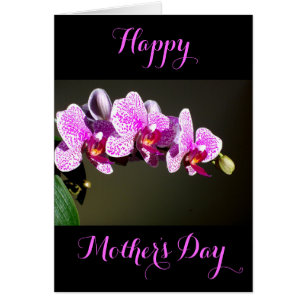 Cartão Orquídeas cor-de-rosa floral, cor-de-rosa, Elegant