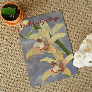 Cartão Orquídeas Cymbidium Manchadas Florais de Aniversár