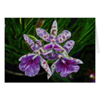 Cartão Orquídeas de Longwood