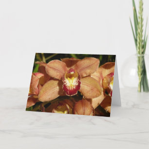 Cartão Orquídeas de Pêssego com Gotas de Chuva