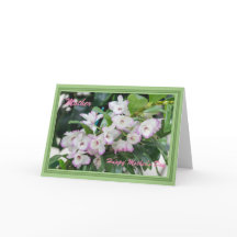 Orquídeas do Dia das Mães