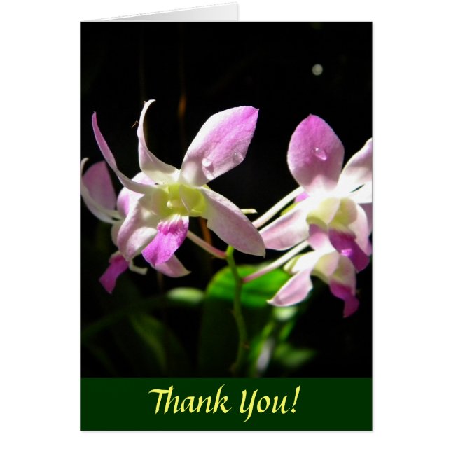 Cartão Orquídeas Rosa (Frente)