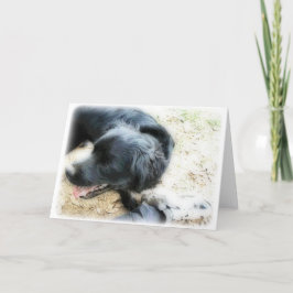 Cartão Orton Smokey e Matte