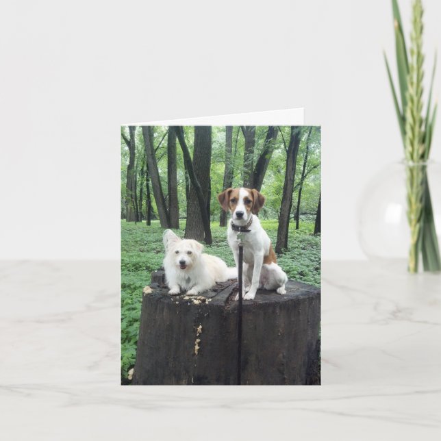 Cartão Os amigos cardam para sempre (Frente)