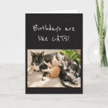 Cartão Os aniversários são como o Gato Humor Animal<br><div class="desc">Se você ama gatos ou animais,  este cartão vai trazer um sorriso para sua cara.  Antes de saber,  há outro!</div>