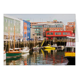 Cartão Os barcos amarraram Portland, Maine