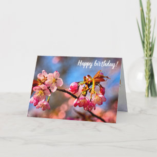 Cartão Os Buds Sakura Estão Prontos Para Abrir E Blogar N