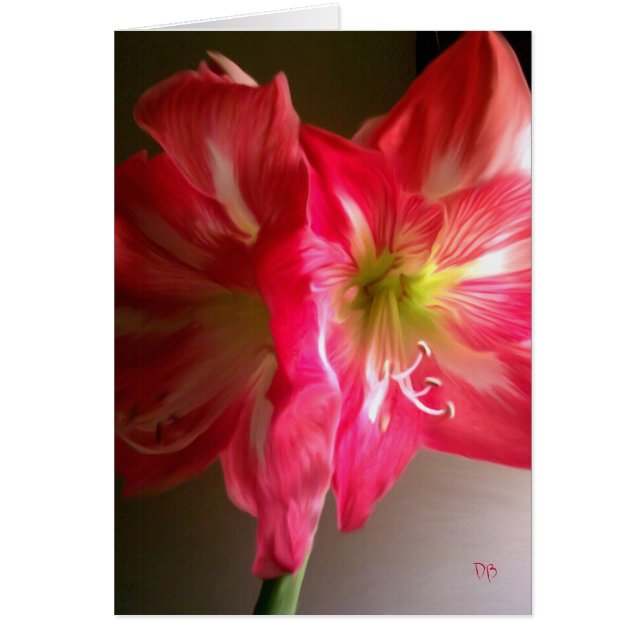 Cartão Os Cartões-Presente (Frente)