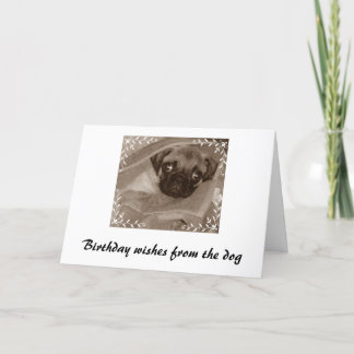Cartão Os desejos de aniversário do cão