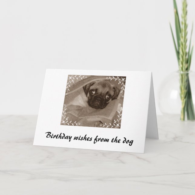 Cartão Os desejos de aniversário do cão (Frente)