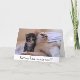 Cartão Os gatinhos têm mães demasiado!!!
