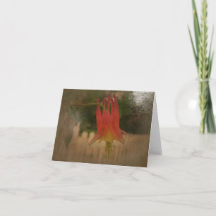 Cartão Os jardins novos Notecard do dia PODEM A aquilégi