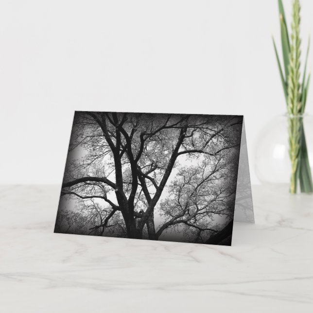 Cartão Os membros da natureza (Frente)