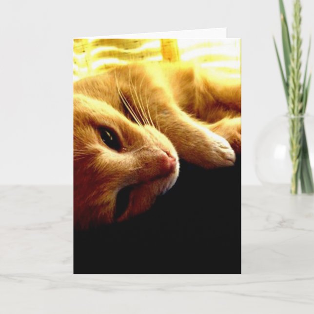 Cartão Os olhos do anjo (Frente)