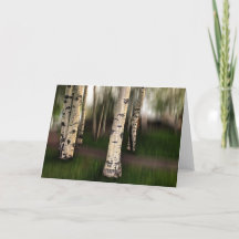 Os Olhos do Aspen estão sobre nós