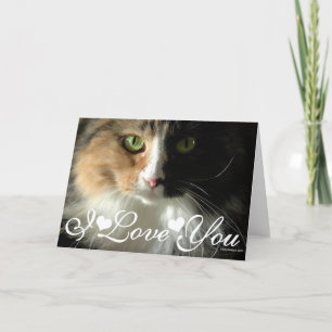 Cartão Os Olhos do Gato Foto Imagem Eu Te Amo