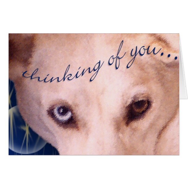 Cartão Os olhos têm! (Frente Horizontal)