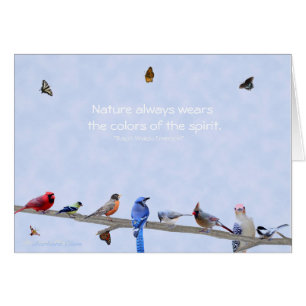 Cartão Os pássaros & as borboletas vestem cores do