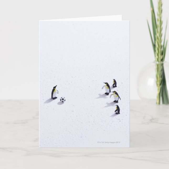 Cartão Os pinguins jogando futebol (Frente)