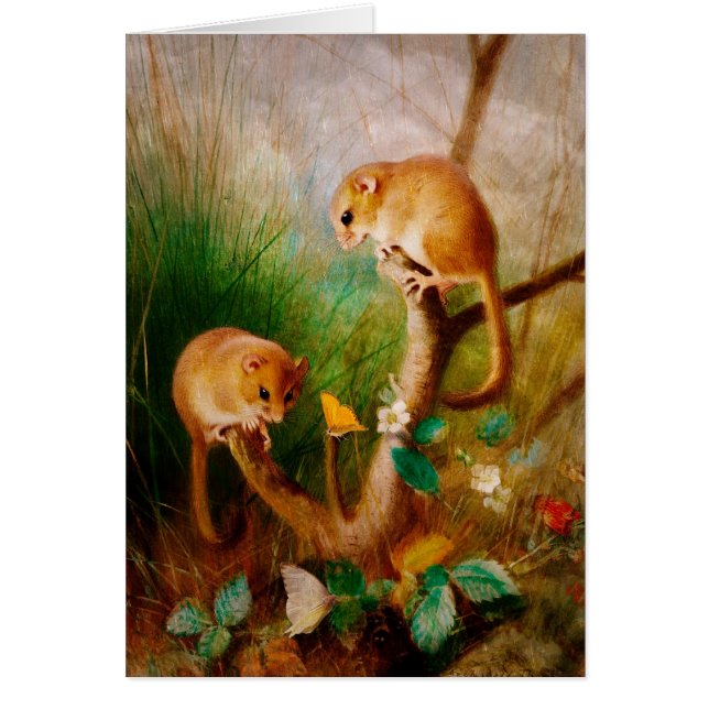 Cartão Os ratos são agradáveis (Frente)