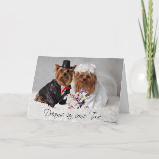 Cartão Os sonhos do casamento de Yorkie podem vir
