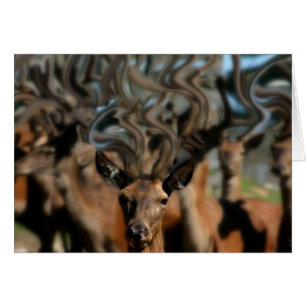 Cartão Os sonhos dos cervos