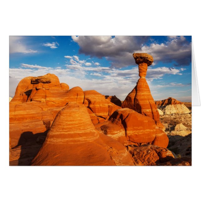 Cartão Os Toadstools (Frente Horizontal)