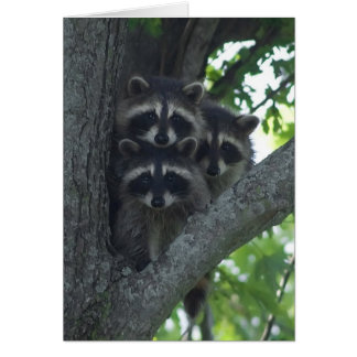 Cartão Os Três Amigos