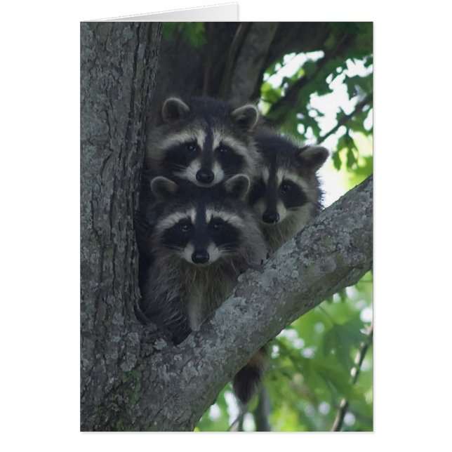 Cartão Os Três Amigos (Frente)